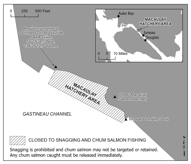 Macaulay Hatchery Area Closed to Chum Salmon Fishing